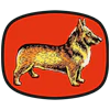 Corgi Model